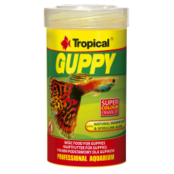 Guppy