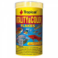 Tropical Goldfish Color Faunelia