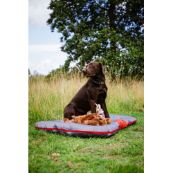 Nobby NOBBY Classic - Coussin pour chien "RENO" Faunelia