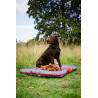 Nobby NOBBY Classic - Coussin pour chien "RENO" Faunelia