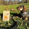 CROCI Happy Farm - Snack pour chiens - Saumon et Citrouille Faunelia