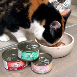 Vibrisse Paté en gelée pour chat - Natural - 70g Faunelia