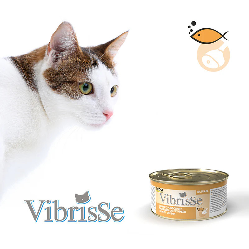 Vibrisse Paté en gelée pour chat - Natural - 70g Faunelia