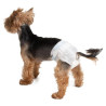 CROCI Dog Nappy - Couches pour chiens Faunelia