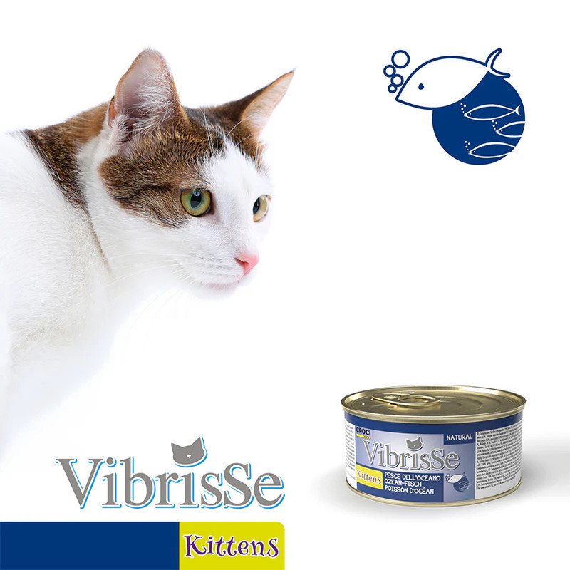 Vibrisse Patée pour chaton - Natural - Poisson de l'océan Faunelia