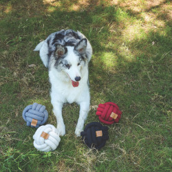 M-PETS Jouet COTO Ball Faunelia