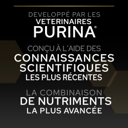 Purina Pro Plan - Croquettes - Chat, Adulte - Delicate Gestion - Dinde Faunelia