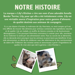 Lily's kitchen Patée pour Chat - Adulte Faunelia