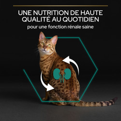 Purina Pro Plan - Croquettes - Chat, Adult - Renal Plus - Poulet Faunelia