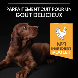 Purina Pro Plan - Croquettes - Chiot - Large - Athletic - Poulet Faunelia