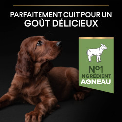 Purina Pro plan - Croquettes - Chiot, Large, Athletic - Sensitive Digestion - Agneau Faunelia