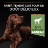 Purina Pro plan - Croquettes - Chiot, Large, Athletic - Sensitive Digestion - Agneau Faunelia