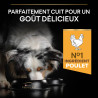 Purina Pro Plan - Croquettes - Chien, Adulte, Toutes tailles - Riche en poulet Faunelia