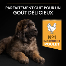 Purina Pro Plan - Croquettes - Chiot - Large Robuste - Poulet Faunelia