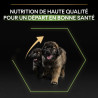 Purina Pro Plan - Croquettes - Chiot - Large Robuste - Poulet Faunelia