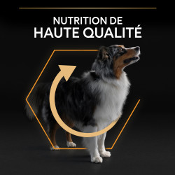 Purina Pro Plan - Croquettes - Chien, Adulte, Medium - Everyday Nutrition - Poulet Faunelia