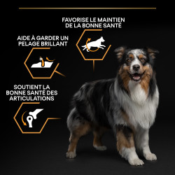 Purina Pro Plan - Croquettes - Chien, Adulte, Medium - Everyday Nutrition - Poulet Faunelia