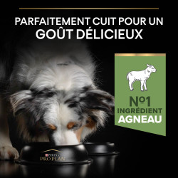 Purina Pro Plan - Croquettes - Chien, Adulte, Medium - Sensitive Digestion - Agneau Faunelia