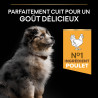 Purina Pro Plan - Croquettes - Chiot, Medium - Poulet Faunelia