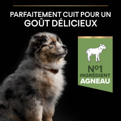 Purina Pro Plan - Croquettes - Chiot, Medium - Sensitive Skin - Agneau Faunelia