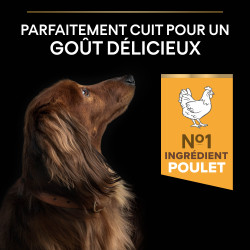 Purina Pro plan - Croquettes - Chien, Adulte, Small & Mini - Poulet Faunelia