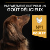 Purina Pro Plan - Croquettes - Chien, Adulte Mini & Small - Everyday Nutrition - Poulet Faunelia