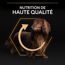 Purina Pro Plan - Croquettes - Chien, Adulte Mini & Small - Everyday Nutrition - Poulet Faunelia