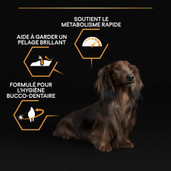 Purina Pro Plan - Croquettes - Chien, Adulte Mini & Small - Everyday Nutrition - Poulet Faunelia