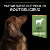 Purina Pro Plan - Croquettes - Chien, Adulte, Small & Mini - Sensitive digestion - Agneau Faunelia