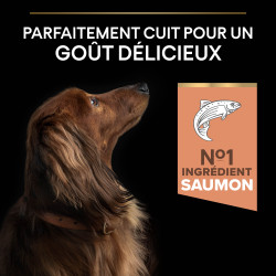 Purina Pro plan - Croquettes - Chien, Adulte, Mini & Small - Sensitive skin - Saumon Faunelia