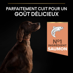 Purina Pro Plan - Croquettes - Chien, Adulte, Large - Athletic - Saumon Faunelia