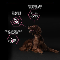 Purina Pro Plan - Croquettes - Chien, Adulte, Large - Athletic - Saumon Faunelia