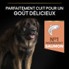 Purina Pro Plan - Croquettes - Chien, Adulte, Large & Robuste - Sensistive Skin - Saumon Faunelia