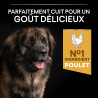 Purina Pro Plan - Croquettes - Chien, Adulte, Large & Robuste - Poulet Faunelia