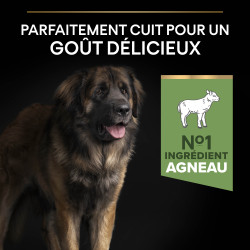 Purina Pro Plan - Croquettes - Chien, Adulte, Large - Athletic & Robuste - Agneau Faunelia