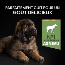 Purina Pro plan - Croquettes - Chiot, Large, Robuste - Sensitive digestion - Agneau Faunelia