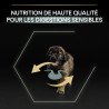 Purina Pro plan - Croquettes - Chiot, Large, Robuste - Sensitive digestion - Agneau Faunelia