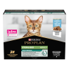 Purina PRO PLAN - Chat, Adulte, Stérilisé - Maintenance - Cabillaud Faunelia