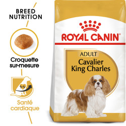 Croquettes pour Chien - Cavalier King Charles - Adulte