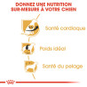 Royal canin Croquettes pour Chien - Cavalier King Charles - Adulte Faunelia