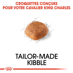 Royal canin Croquettes pour Chien - Cavalier King Charles - Adulte Faunelia