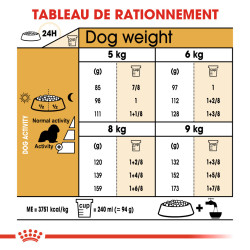 Royal canin Croquettes pour Chien - Cavalier King Charles - Adulte Faunelia