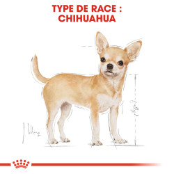 Royal canin Croquettes pour Chien - Chihuahua - Adulte Faunelia