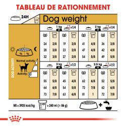 Royal canin Croquettes pour Chien - Chihuahua - Adulte Faunelia