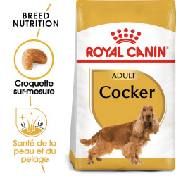 Croquettes pour Chien - Cocker - Adulte