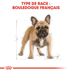 Royal canin Croquettes pour Chien - French Bulldog - Adulte Faunelia