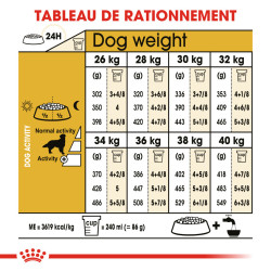 Royal canin Croquettes pour Chien - Golden Retriever - Adult Faunelia