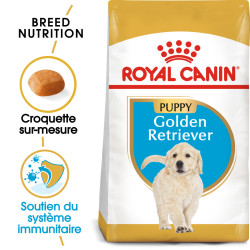 Croquettes pour Chien - Golden Retriever - Chiot