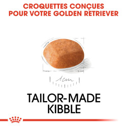 Royal canin Croquettes pour Chien - Golden Retriever - Chiot Faunelia