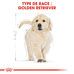 Royal canin Croquettes pour Chien - Golden Retriever - Chiot Faunelia